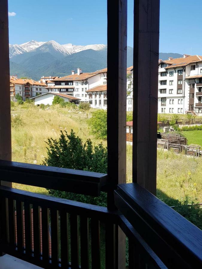 Edelweiss 20 *